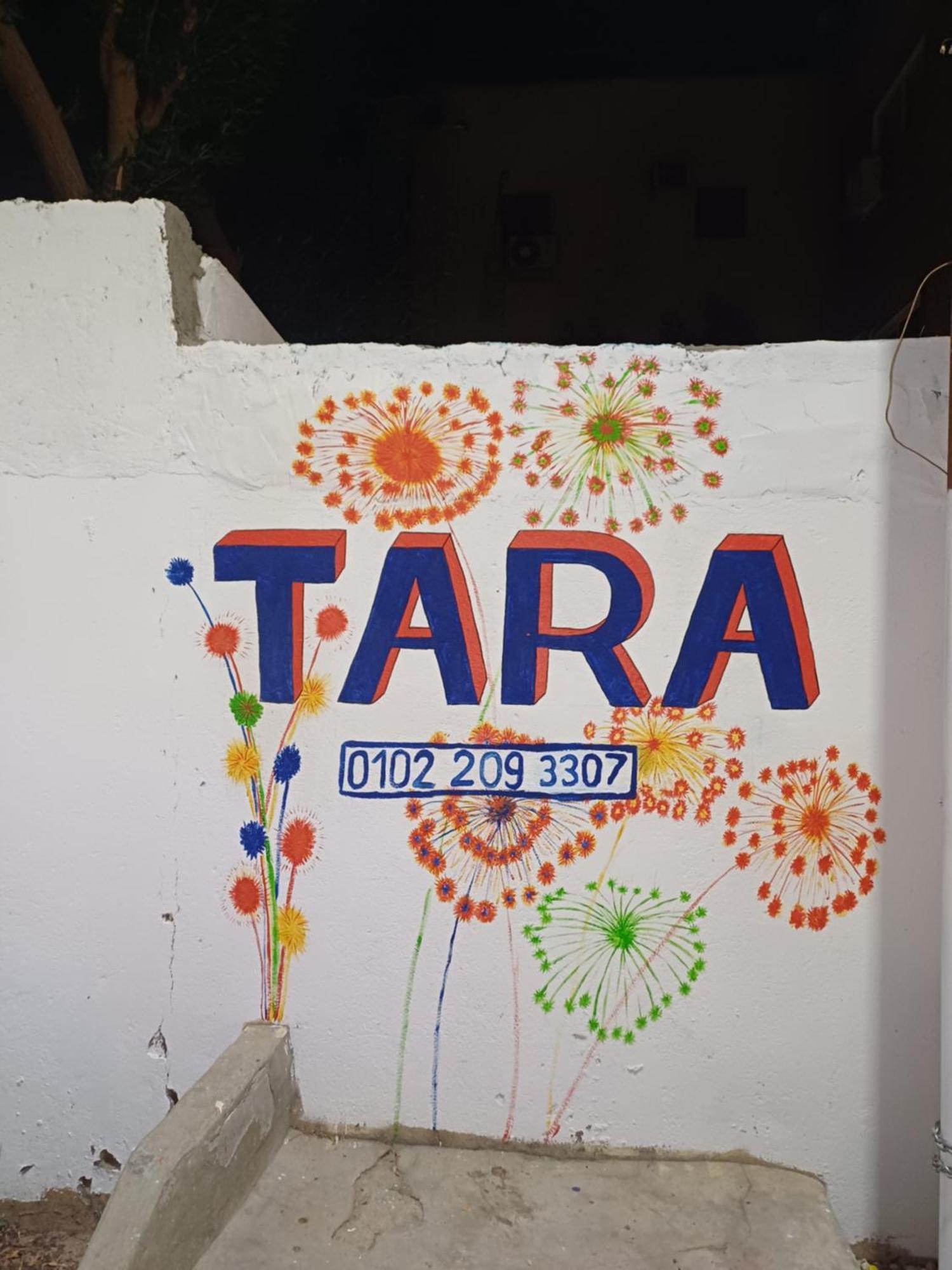 Tara Apartments Luxor Rum bild